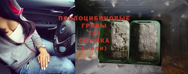 2c-b Абдулино